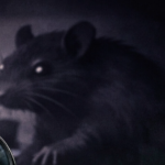 Como foi a reunião do Consu de 10 de março de 2026