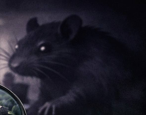 Você está visualizando atualmente Como foi a reunião do Consu de 10 de março de 2026